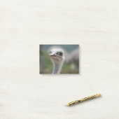 Post-it® Oiseau d'autruche (Sur un bureau)