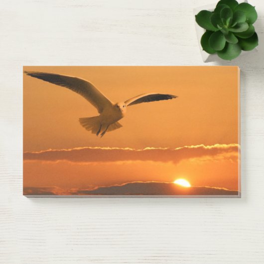 Post-it® Oiseau Volant Au Coucher Du Soleil (Bureau)