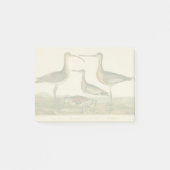 Post-it® Oiseaux de marais Courlis Oiseaux (Devant)