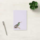Post-it® Oiseaux sauvages de la nature Colibri (Bureau)