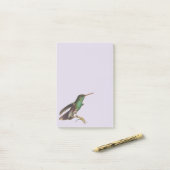 Post-it® Oiseaux sauvages de la nature Colibri (Sur un bureau)