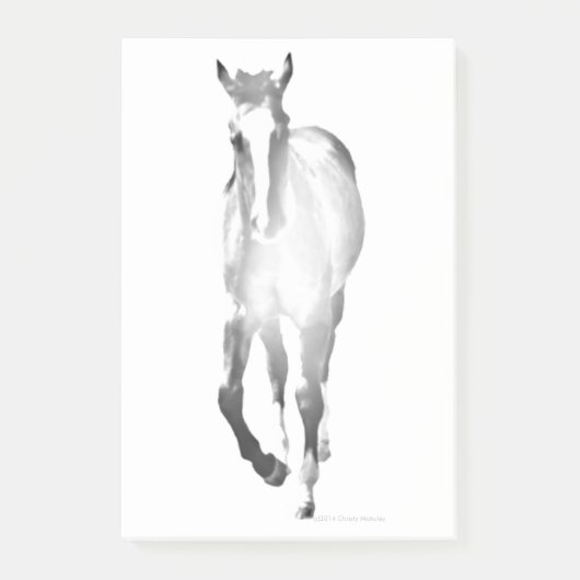 Post-it® Ombre de cheval (Devant)