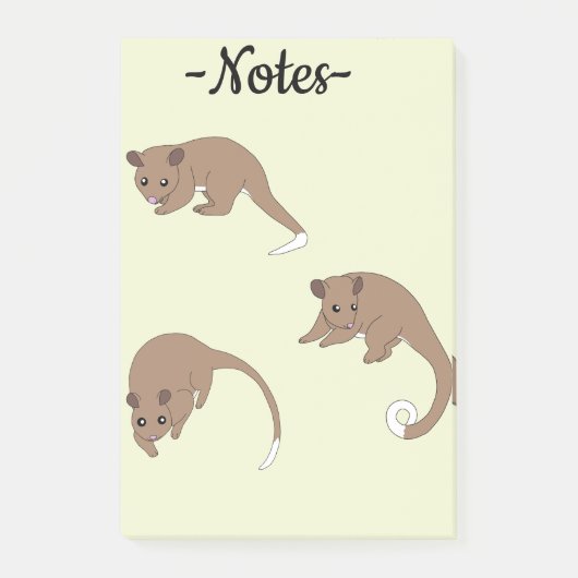Post-it® Opossums à queue annelée (Devant)