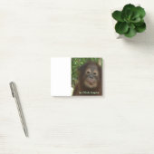 Post-it® Orang-outan de Krista (Bureau)
