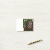 Post-it® Orang-outan de Krista (Sur un bureau)