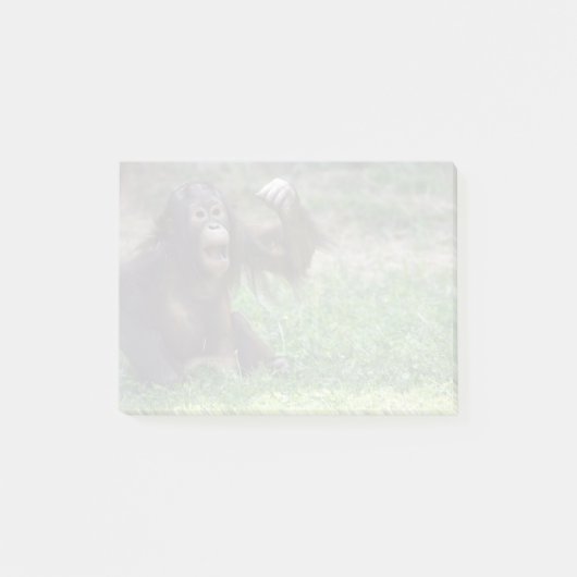 Post-it® Orangutan Redd au National Zoo Post-it Notes (Devant)