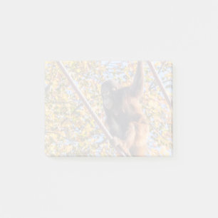Post-it® Orangutan Redd au National Zoo Post-it Notes