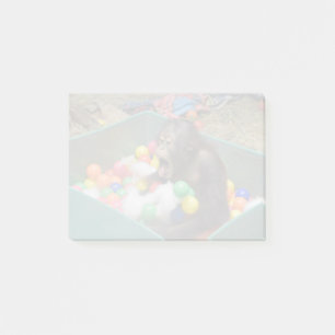 Post-it® Orangutan Redd au National Zoo Post-it Notes