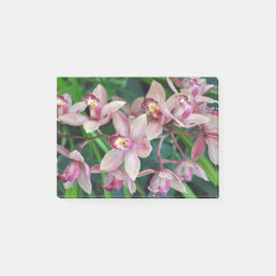 Post-it® Orchidées de papillons roses