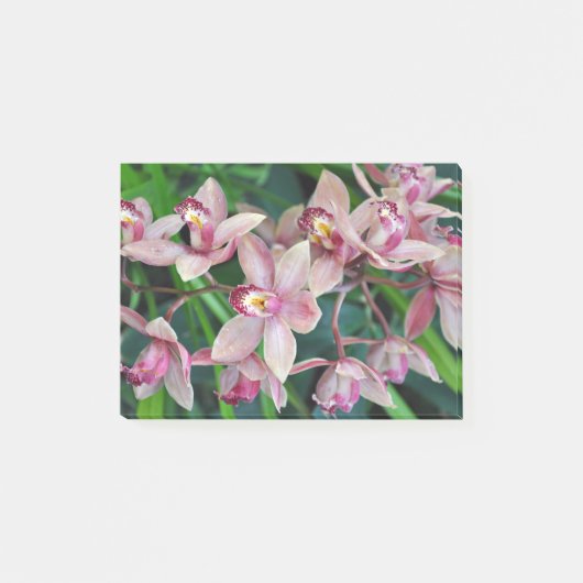 Post-it® Orchidées de papillons roses (Devant)
