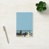Post-it® Otaries de San Diego (Bureau)