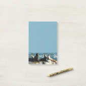 Post-it® Otaries de San Diego (Sur un bureau)
