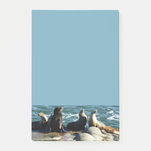 Post-it® Otaries de San Diego (Devant)