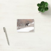 Post-it® Ours gris (Bureau)