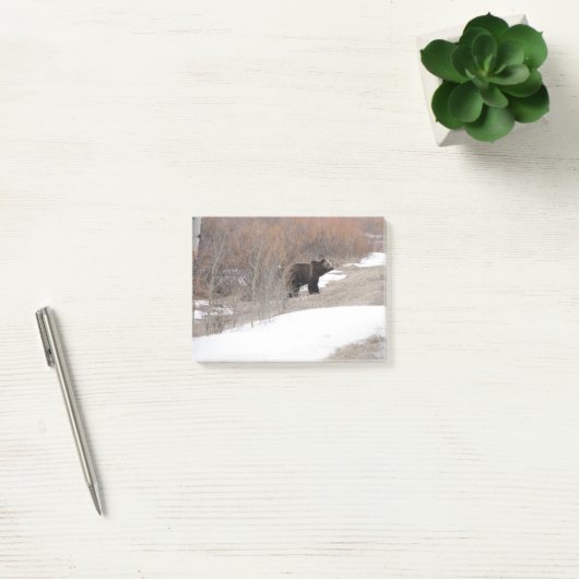 Post-it® Ours gris (Bureau)