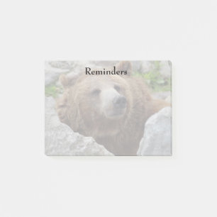 Post-it® Ours kodiak