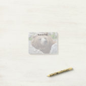 Post-it® Ours kodiak (Sur un bureau)