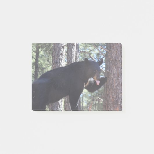 Post-it® Ours noir (Devant)