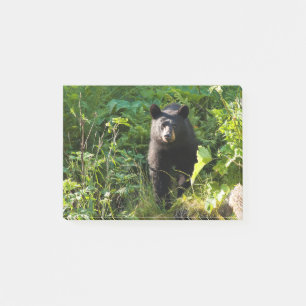 Post-it® Ours noir curieux