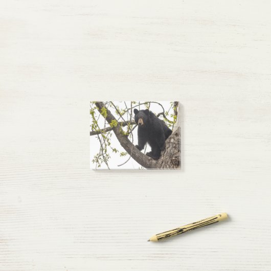 Post-it® Ours noir s'élevant (Sur un bureau)