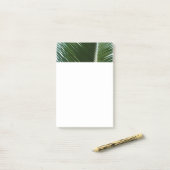 Post-it® Overlapping Palm Fronds Tropical Green Abstract (Sur un bureau)