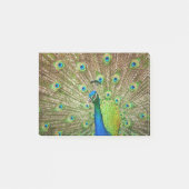 Post-it® Pacock (Devant)