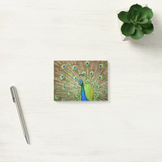 Post-it® Pacock (Bureau)