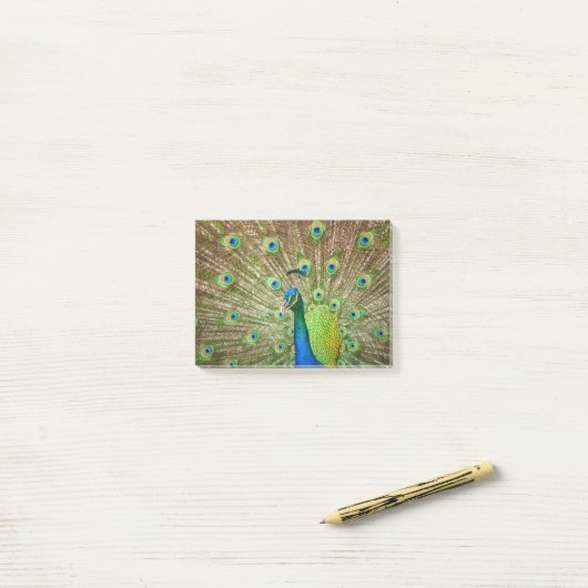 Post-it® Pacock (Sur un bureau)