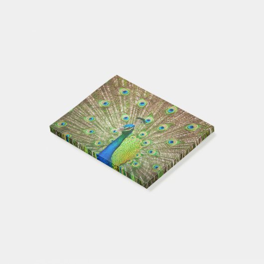 Post-it® Pacock (Incliné)