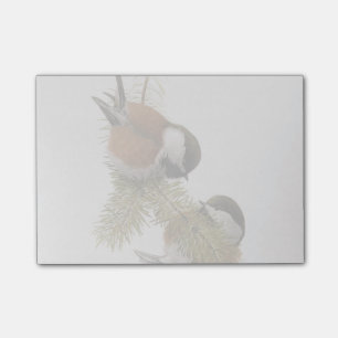 Post-it® Paires de Chickadee Châtaigne-soutenu sur le pin