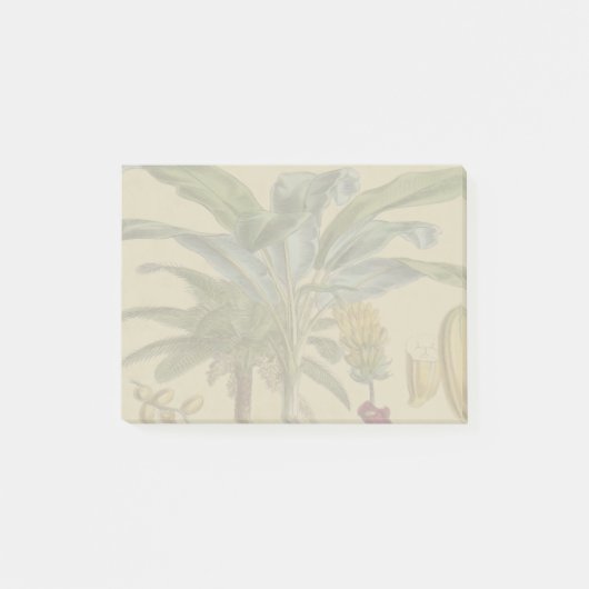Post-it® Palm Antique Fruit Tropical Art Botanique (Devant)