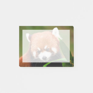 Post-it® Panda roux mignon
