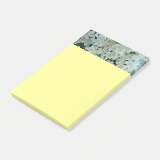 Post-it® Paperwhite Narcissus Fleurs blanches délicates (Incliné)