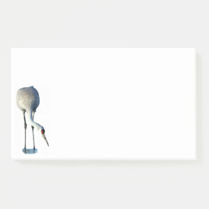 Post-it® Papeterie photo Sandhill Crane 10x6 Notes
