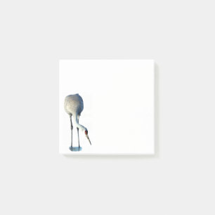Post-it® Papeterie photo Sandhill Crane 3x3 Post-it Notes