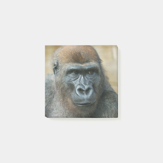 Post-it® Papier Gorilla (Devant)