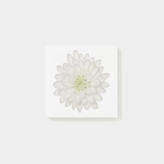 Post-it® Papier notes adhésifs Chrysanthème blanc (Devant)