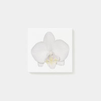 Papier notes adhésifs Orchidée Blanche