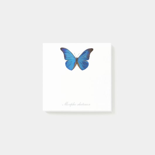 Post-it® Papillon peint à la main bleu de Morpho Rhetenor (Devant)