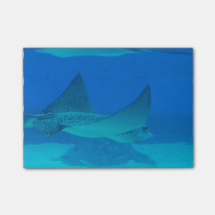 Post-it® Pastenagues