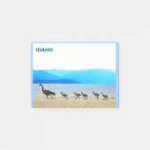 Post-it® Patrouille côtière - Oies du Canada (Devant)