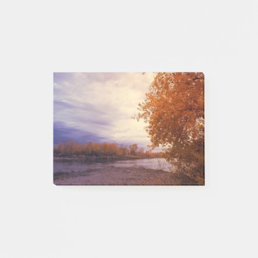 Post-it® Paysage d'automne (Devant)