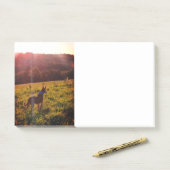 Post-it® Paysage du lever du soleil avec chien (Sur un bureau)