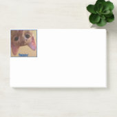 Post-it® Peekaboo ! Archie te voit ! (Bureau)