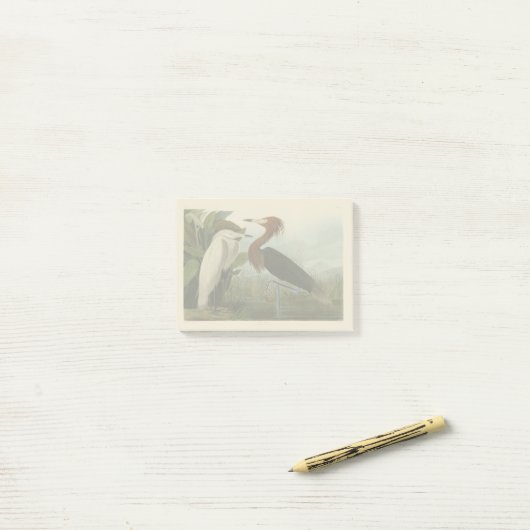 Post-it® Peinture de la faune d'Audubon Heron violet (Sur un bureau)