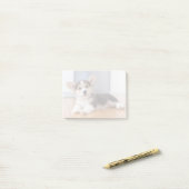 Post-it® Pembroke Welsh Corgi Puppy (Sur un bureau)