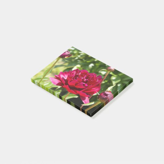 Post-it® Peonées de velours de Maron foncé (Incliné)