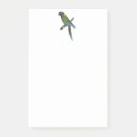 Perroquet vert Macaw Art fin peinture nature