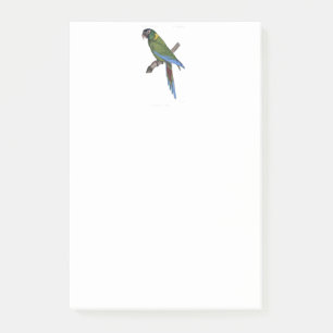 Post-it® Perroquet vert Macaw Art fin peinture nature