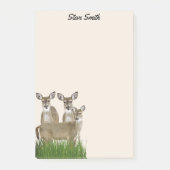 Post-it® Personnaliser Avec Son Nom Whitetail Deer (Devant)